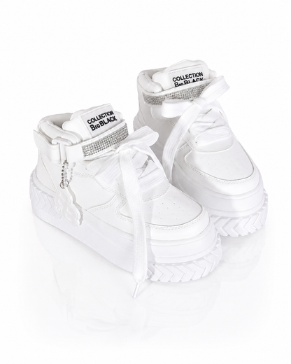 FLASHY BRILLOS